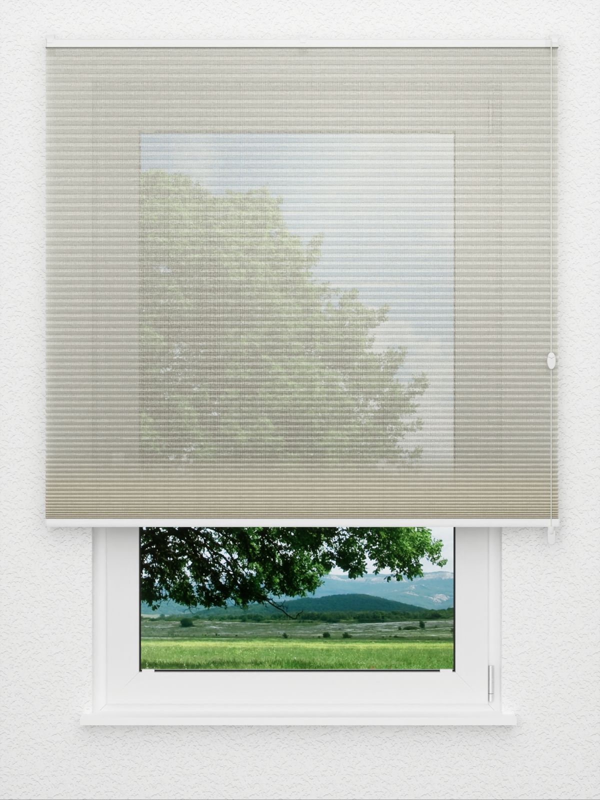 Detailansicht Rough Comb LI 6101.3575