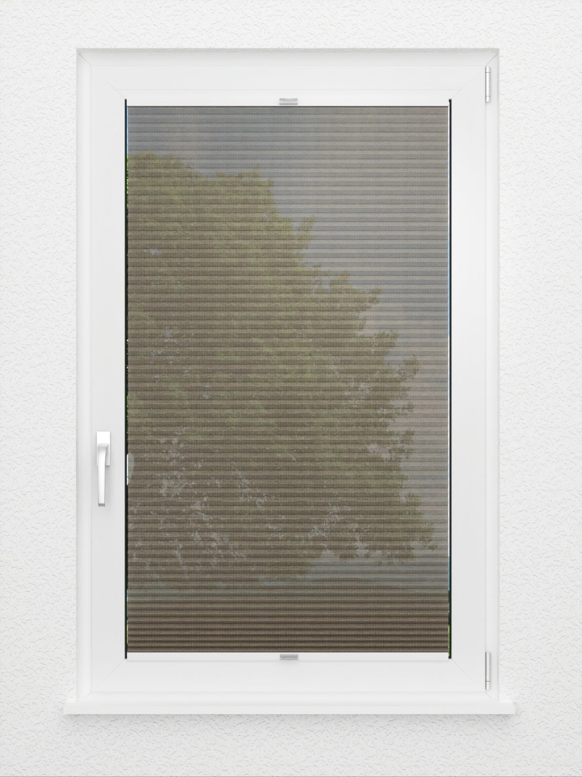 Detailansicht Rough Comb LI 6402.3578