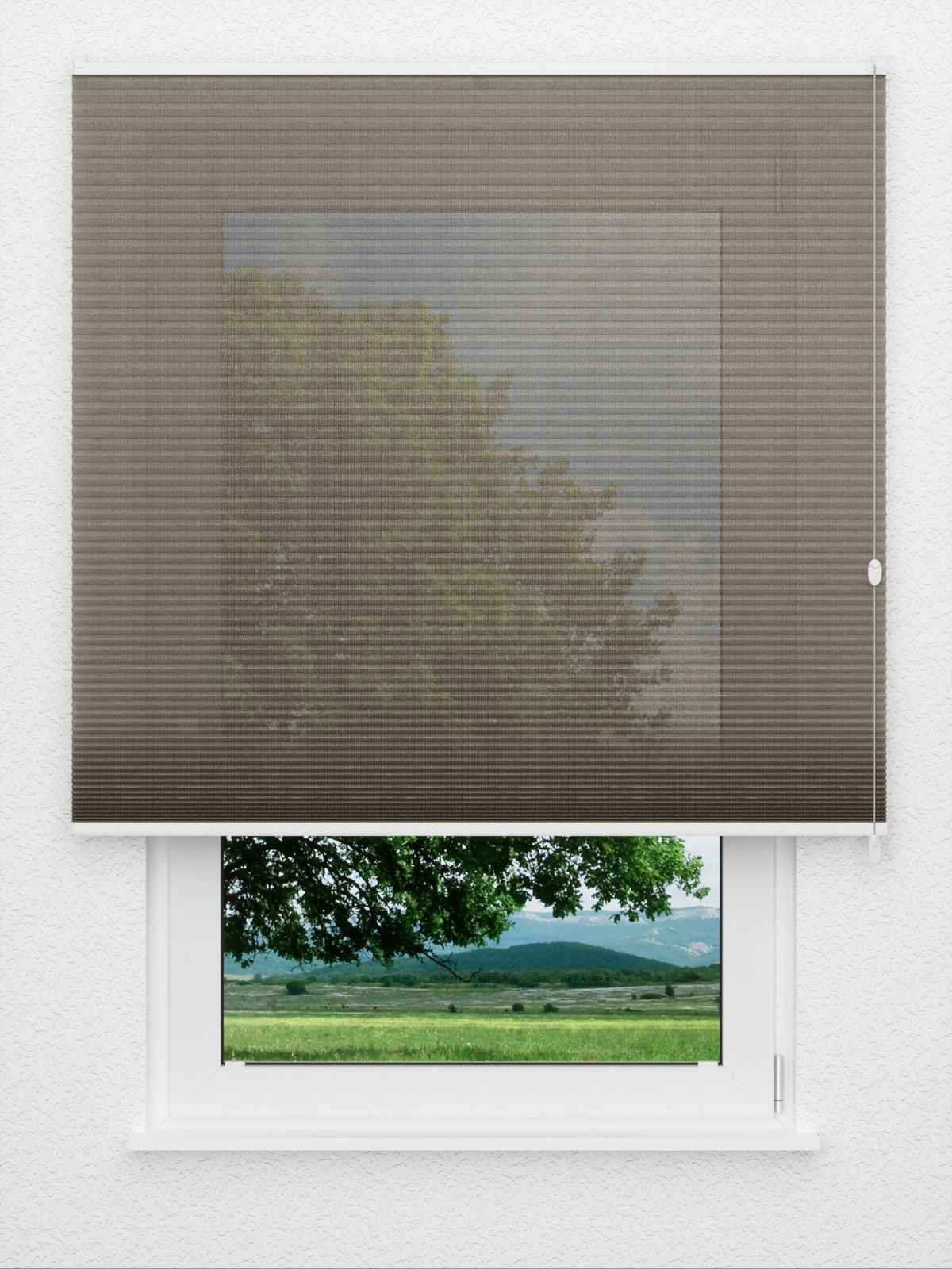 Detailansicht Rough Comb LI 6402.3578