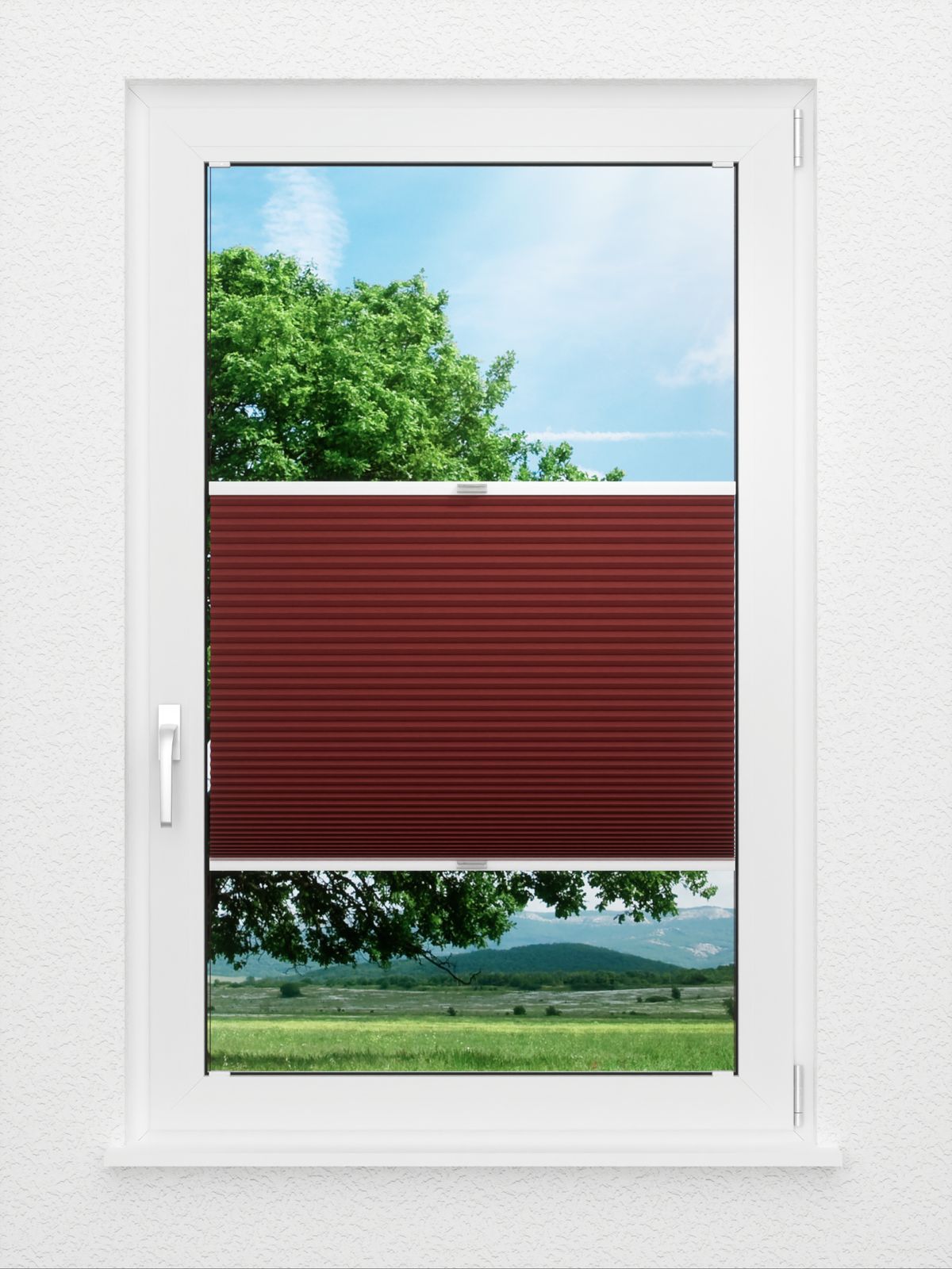 Detailansicht Simple Comb SC 7104.3595