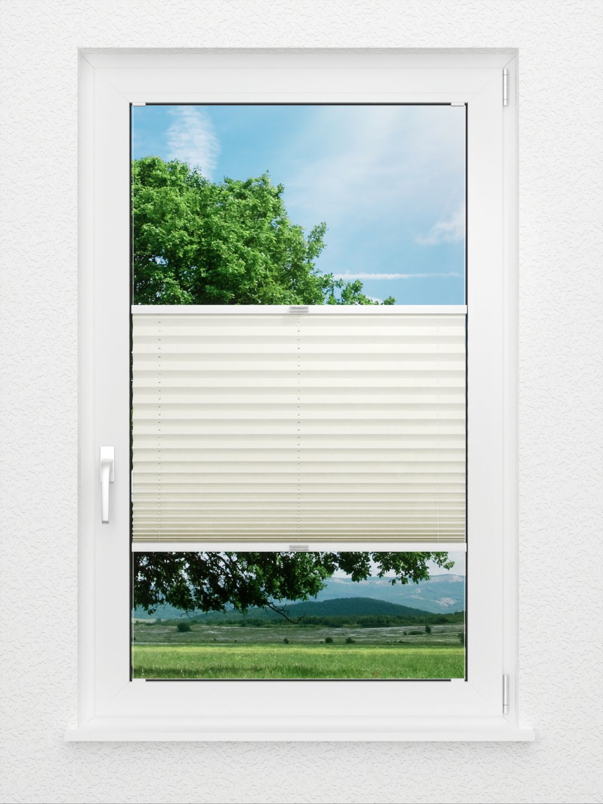 Detailansicht Plissee Cotton 3801.0118