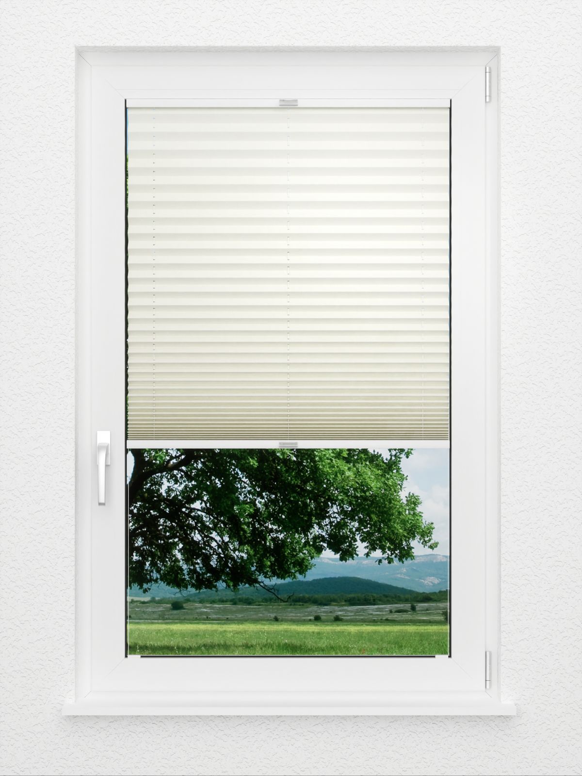 Detailansicht Plissee Cotton 3801.0118