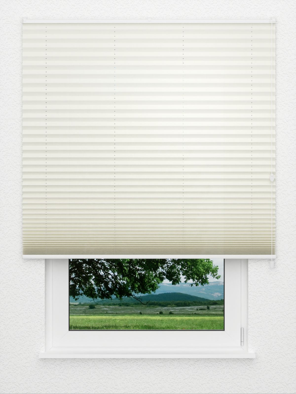 Detailansicht Plissee Cotton 3801.0118