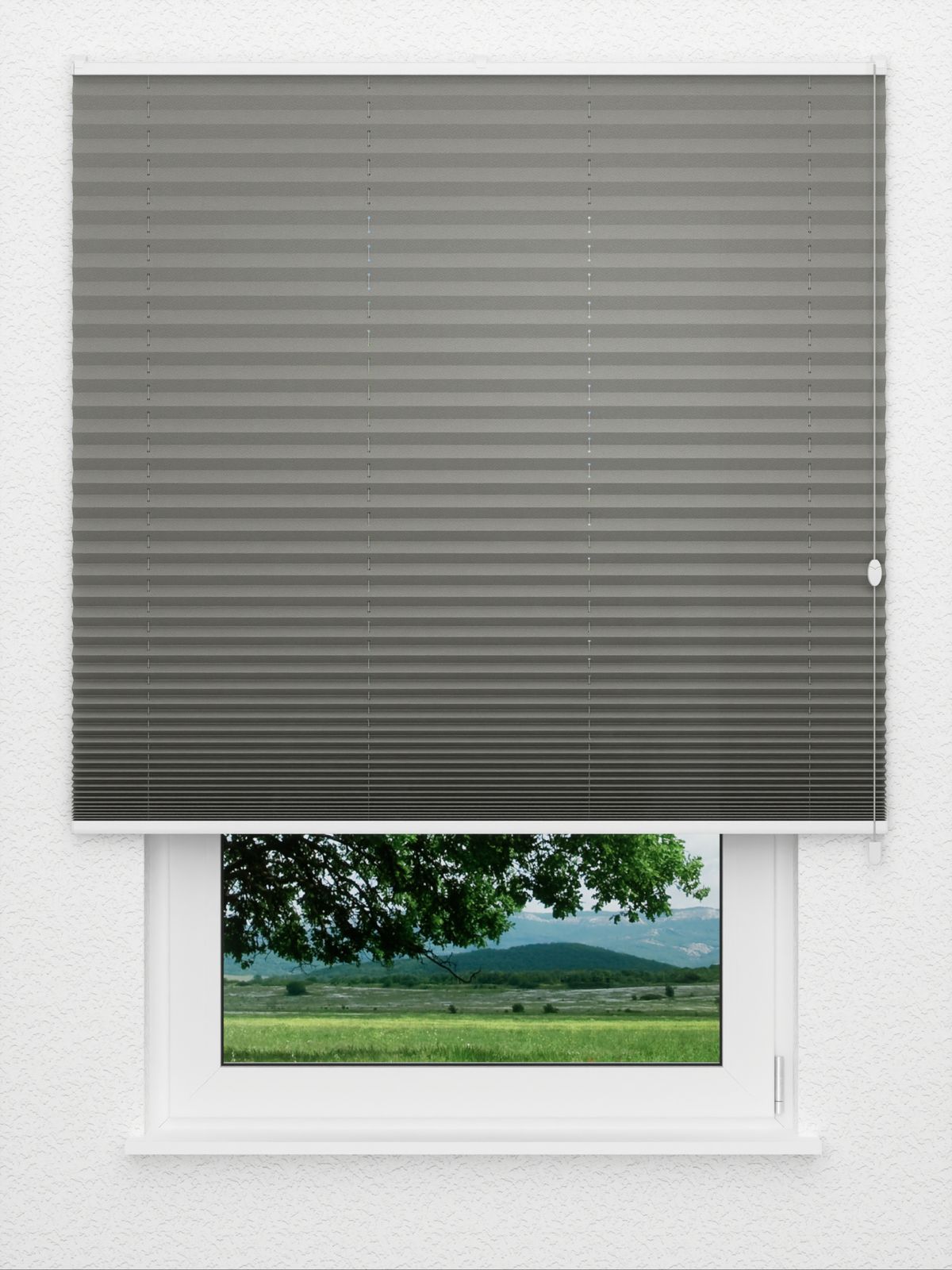 Detailansicht Plissee Kreppa 1309.1264