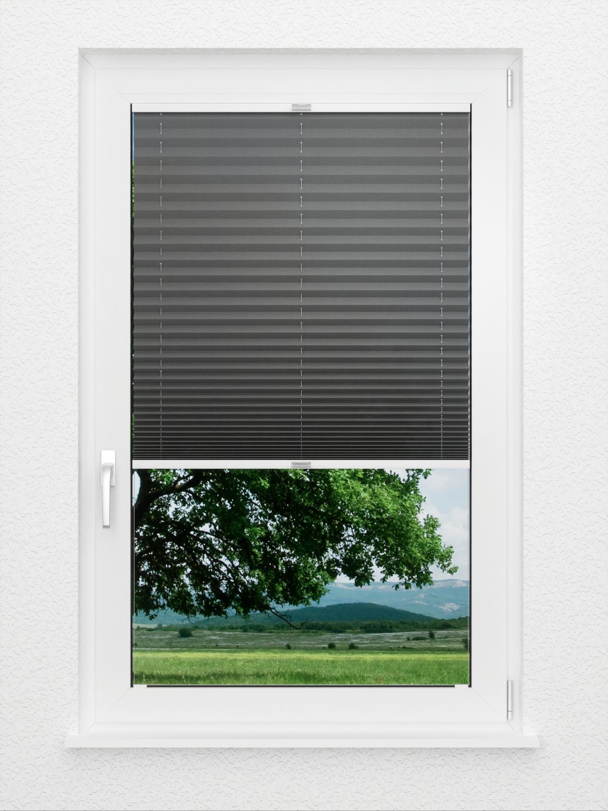 Detailansicht Plissee Kreppa 1309.1265