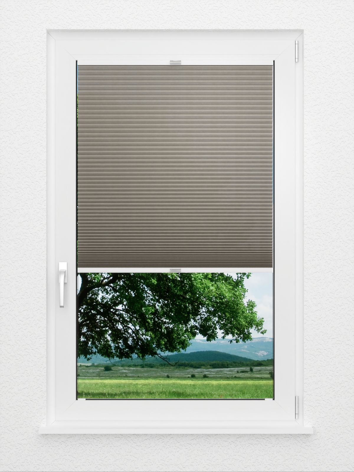 Detailansicht Bumby Comb LI 3402.3582