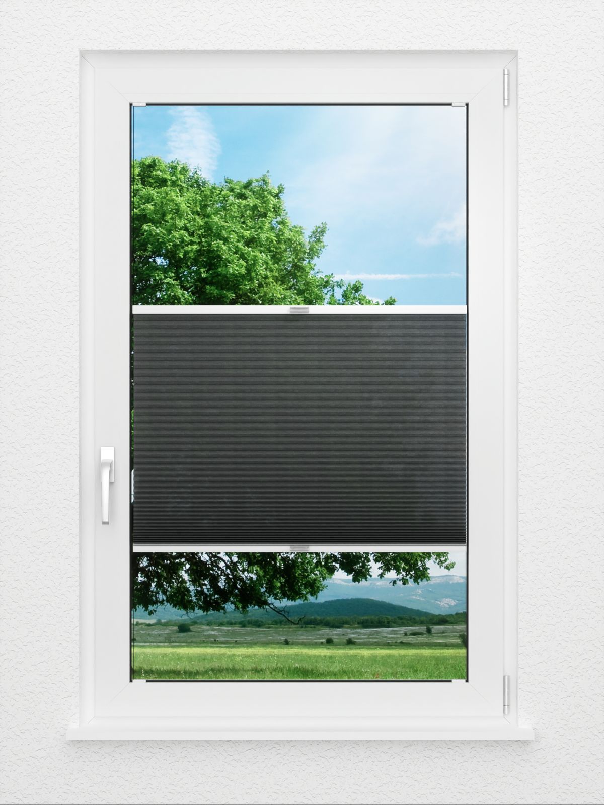 Detailansicht Bumby Comb LI 3508.3583