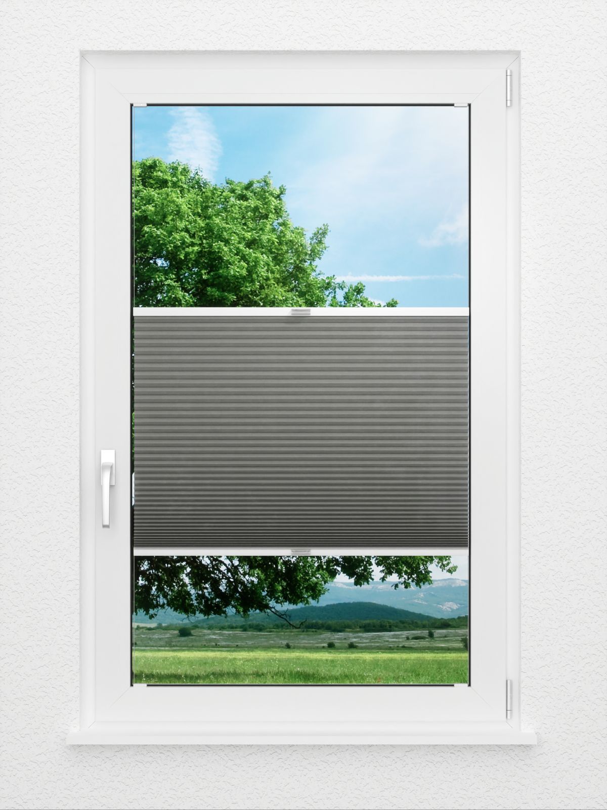 Detailansicht Bumby Comb LI 3609.3584