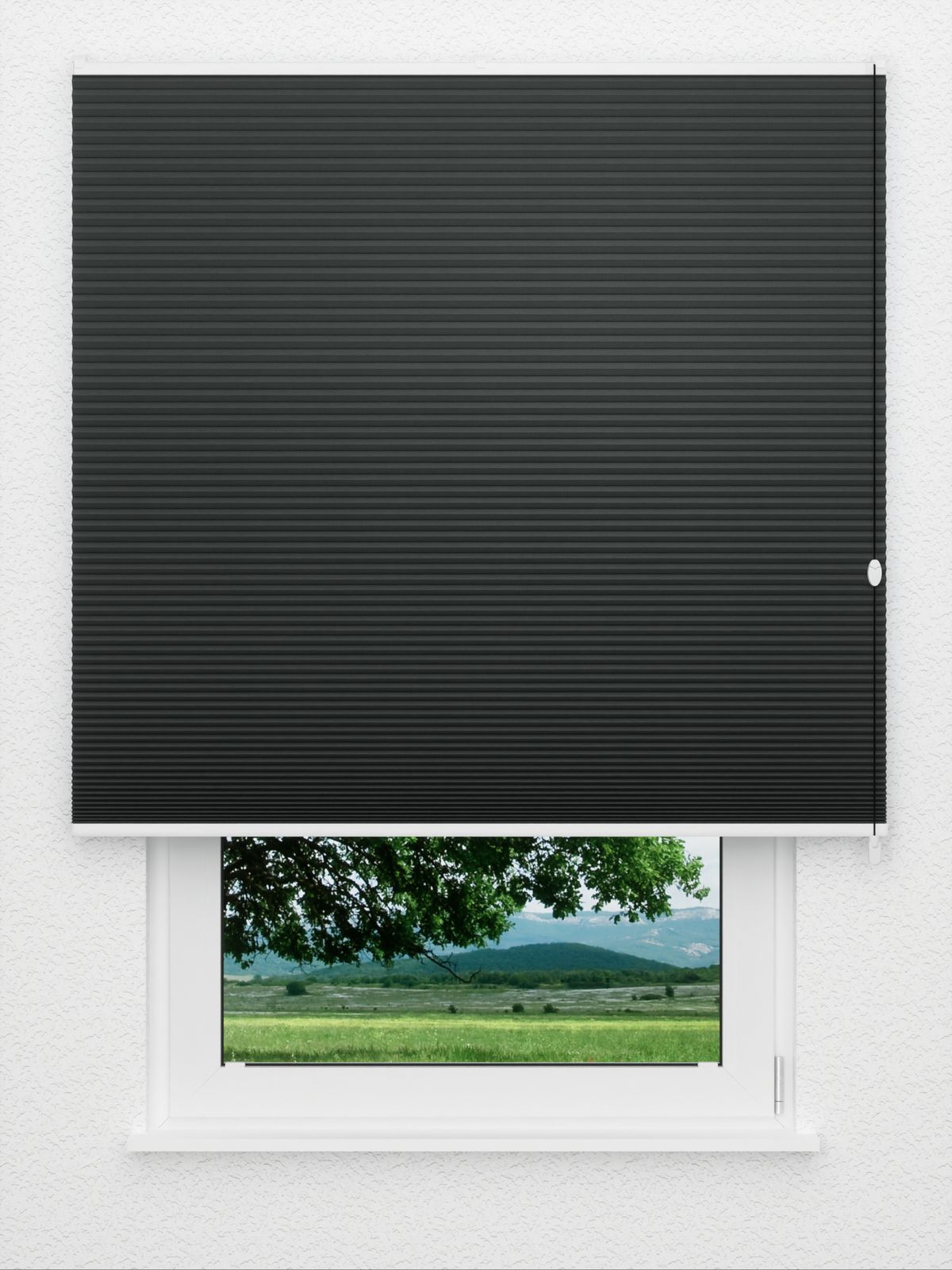 Detailansicht Bumby Comb BO 9508.3589
