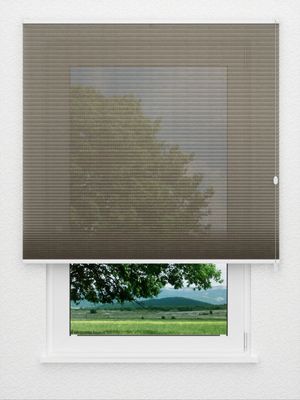 Preview Rough Comb LI 6402.3578 3