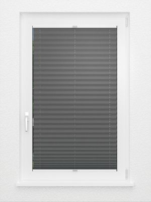 Preview Plissee Krepp B1 1009.0163 2