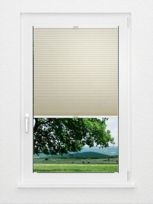 Preview Bumby Comb LI 3201.3580 1