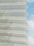 Rough Comb LI 6101.3575 Detailansicht