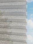 Rough Comb LI 6201.3576 Detailansicht