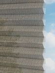Rough Comb LI 6402.3578 Detailansicht