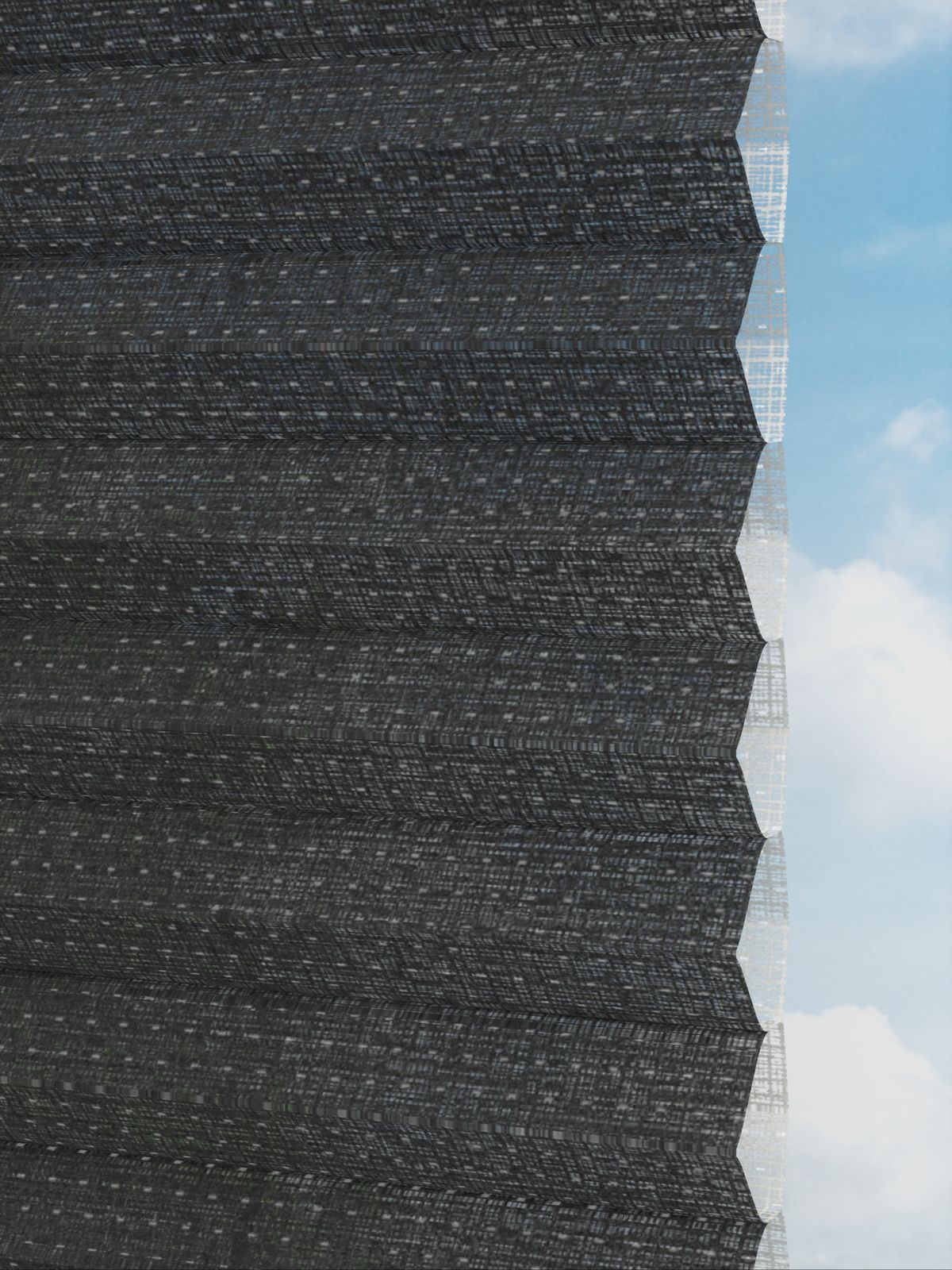 Detailansicht Rough Comb LI 6308.3577
