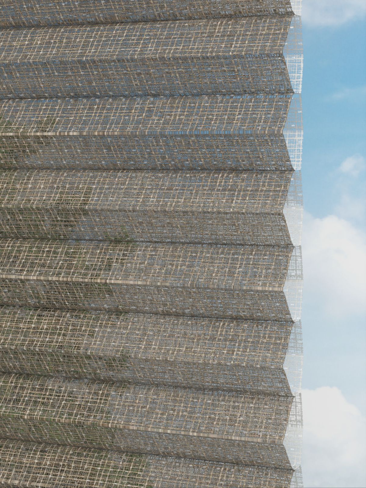 Detailansicht Rough Comb LI 6402.3578