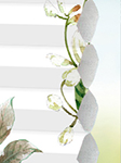  Stoff Duette Amancio 12.549
