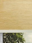 Simply Rollo Nembus 202377L Fensteransicht