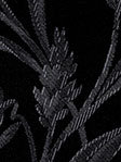 Asterion 802633L Detailansicht