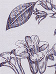 Algorab 502954L Detailansicht
