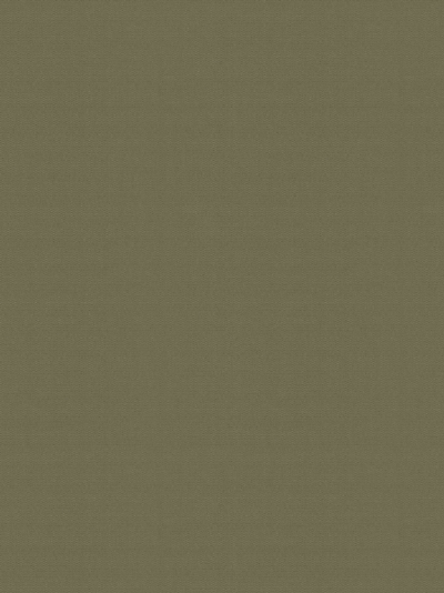 Rollo Mira 5506.2536 Detailansicht