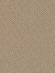 Rollo Actor 5502.3001 Detailansicht