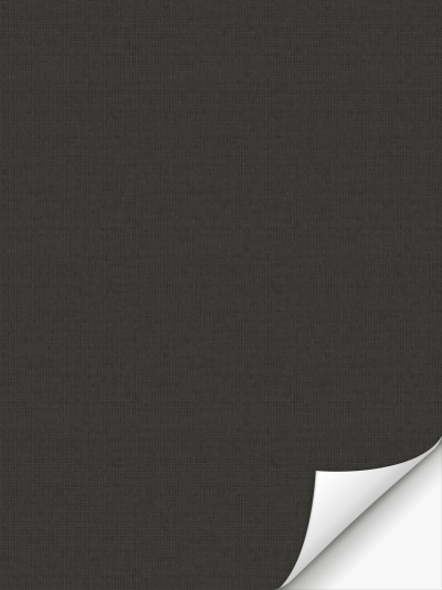 Verdunkelungsrollo Felis Dark 5508.5520 Detailansicht