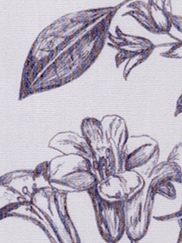 Detailansicht Algorab 502954L