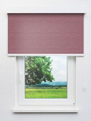 Preview Cervantes 402763L 0