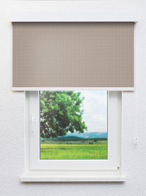 Preview Asterope 702795L 0