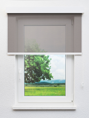 Preview Becrux 702844L 0