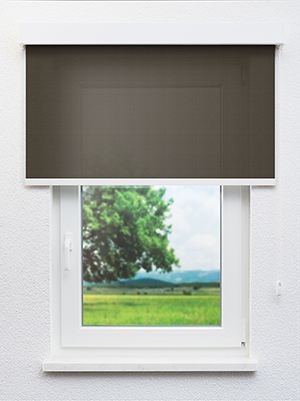 Preview Adhara 702861L 0