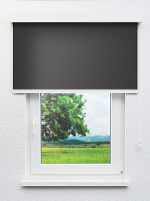 Preview Alya BO 802920L 0