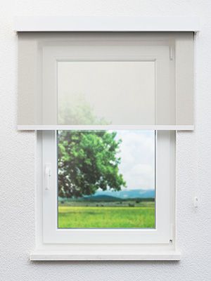 Preview Braunlage 91.133e 0