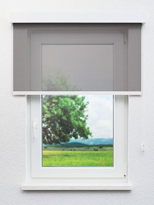 Preview Bühl 10.407e 0