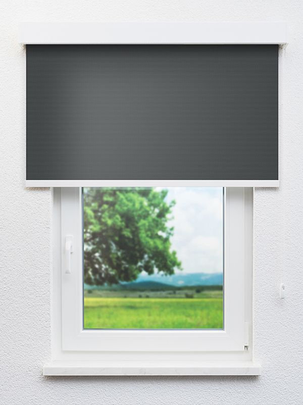 Detailansicht Realta 802816L