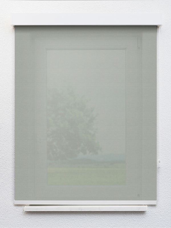 Detailansicht Algedi 902847L