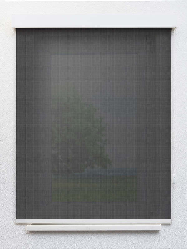 Detailansicht Algedi 802850L