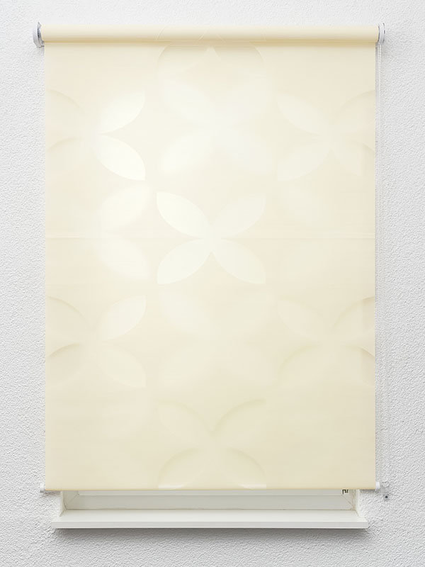 Detailansicht Bischofswerda 02.103e