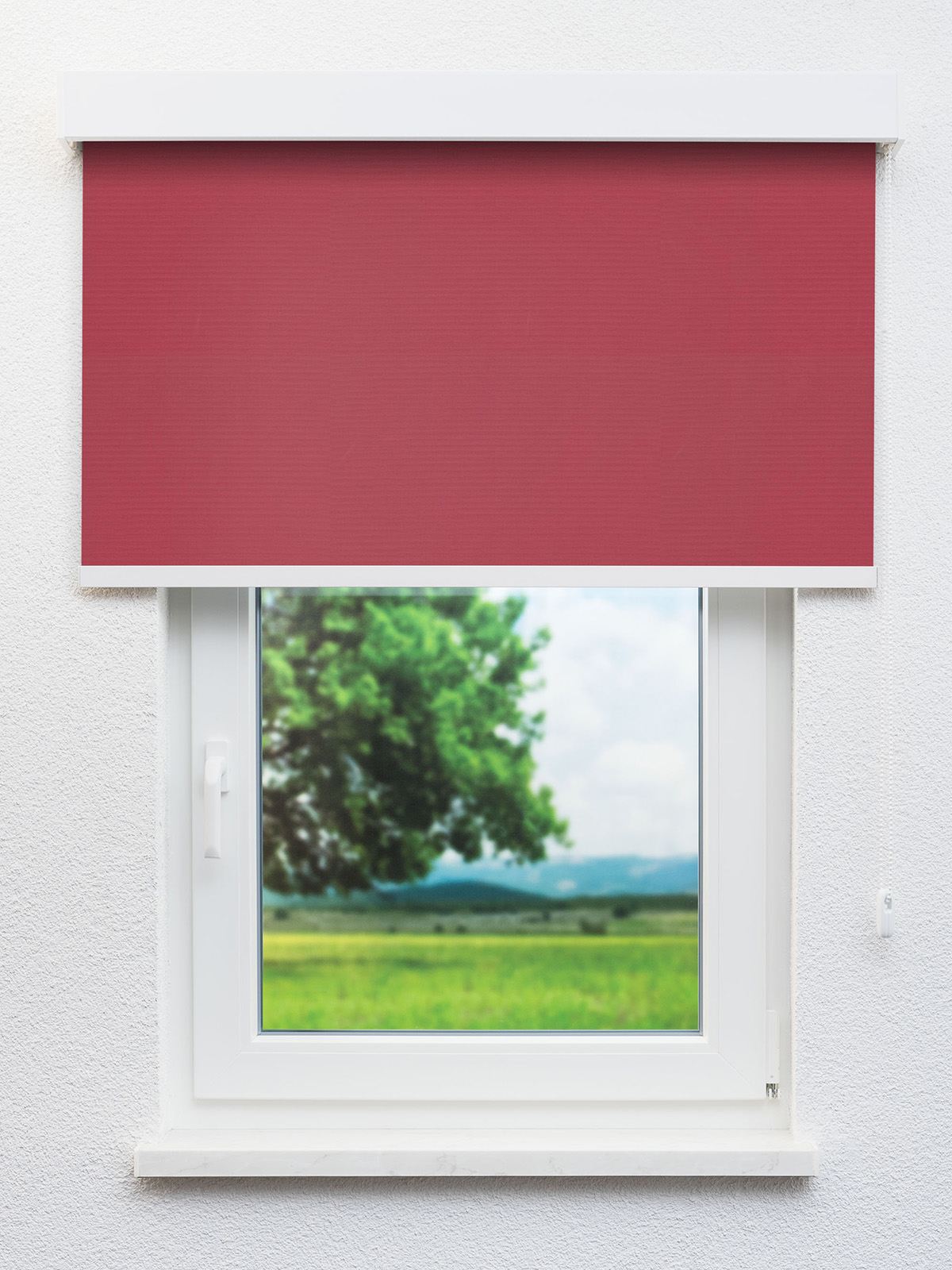 Detailansicht Annerberg 23.237e