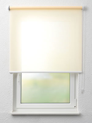 Celle 91.210e Fensteransicht