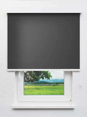 Alnitak BO 802638L Fensteransicht