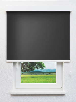 Alnitak BO 802639L Fensteransicht