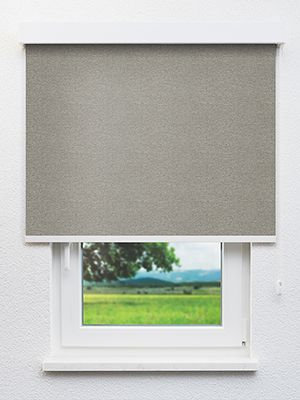 Alphard 702698L Fensteransicht