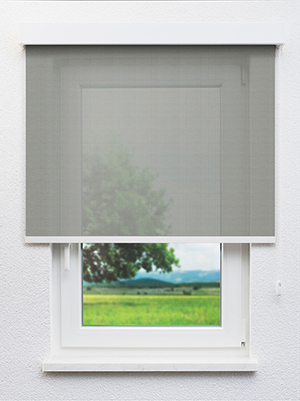 Algenib 902846L Fensteransicht