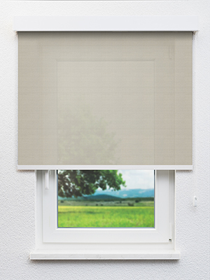 Achird 802855L Fensteransicht