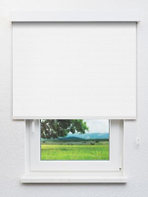 Reva 102900L Fensteransicht