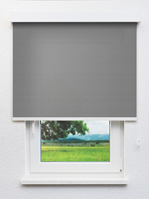 Betria 702982L Fensteransicht
