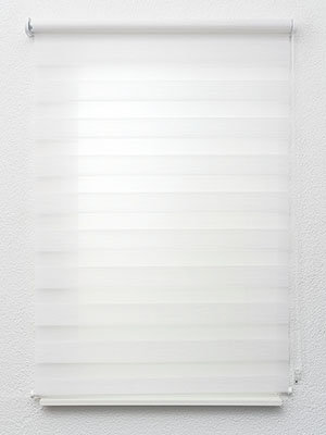 Bismark 12.203e Fensteransicht